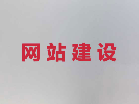 拉萨网站开发建设